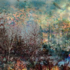 oeuvre photographique contemporaine paysage forêt imprimée sur métal blanc marjorie roy photographe artiste